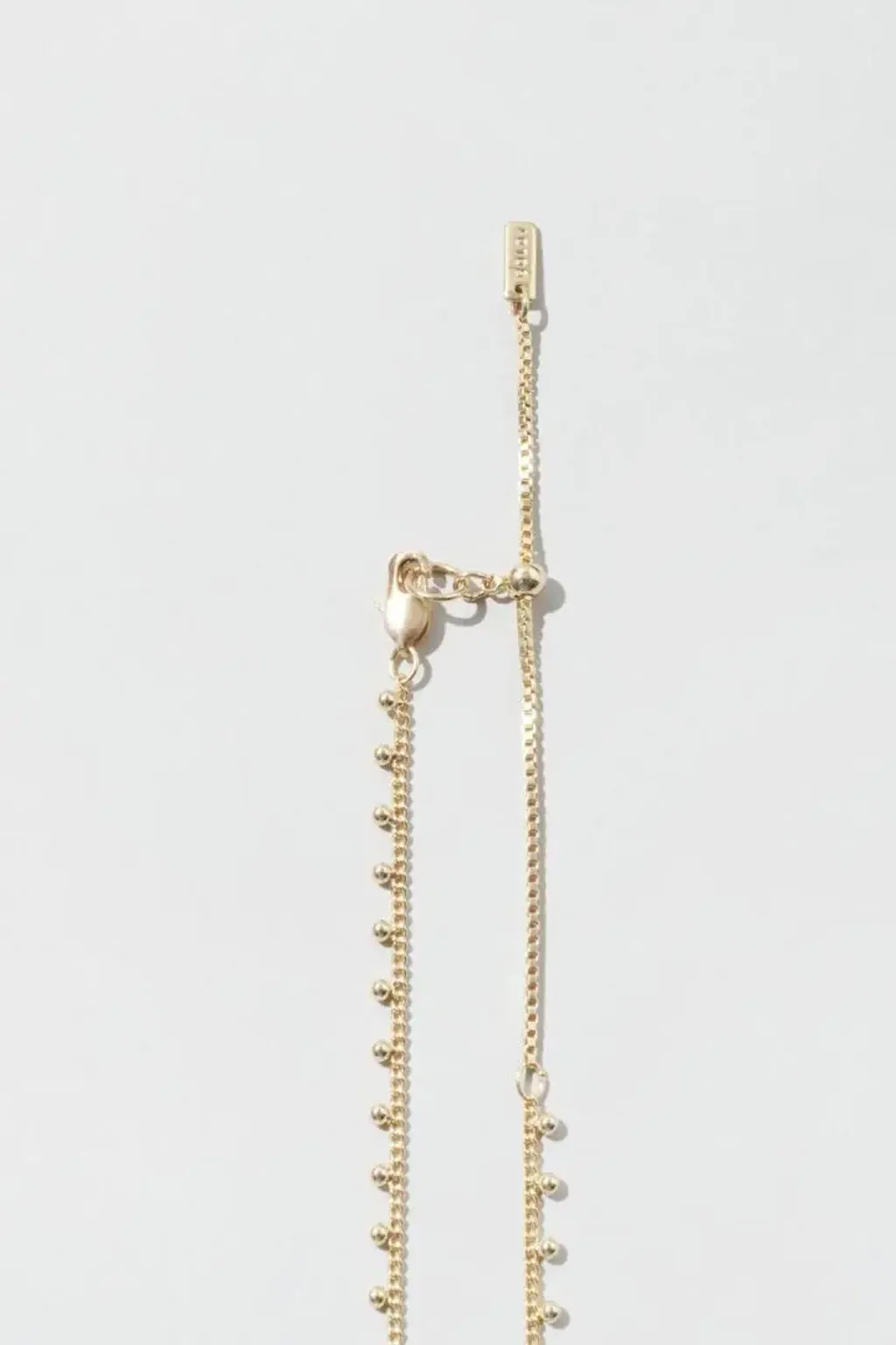 image_D129A7FD-97CD-4DC1-9570-E73CC1A1840F_1770378667