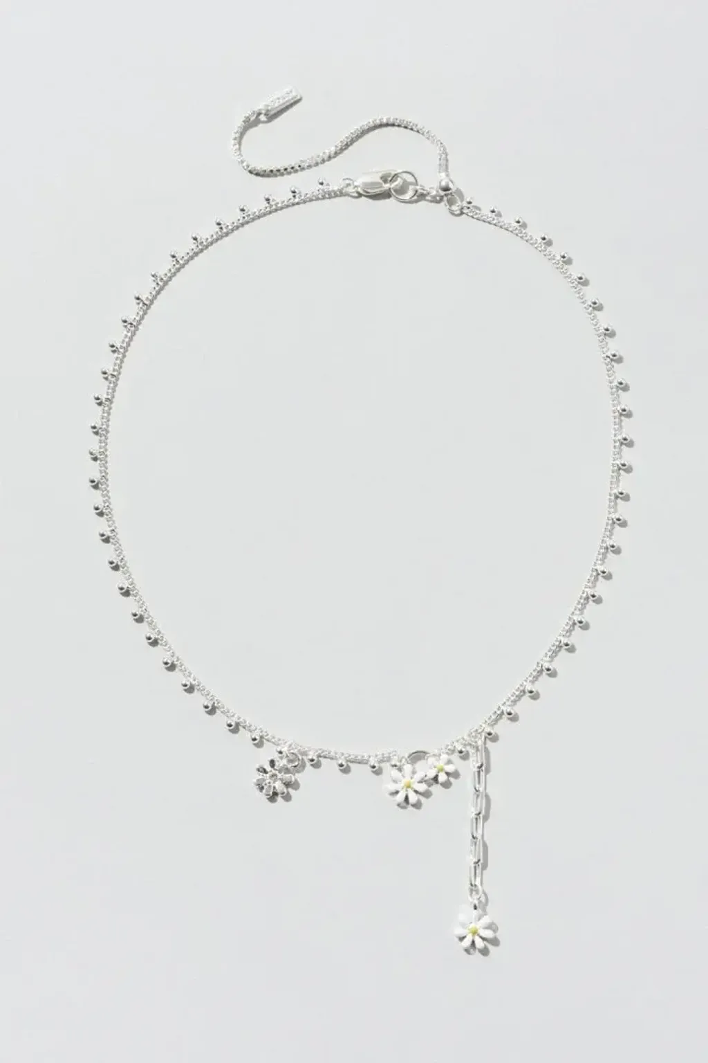 image_CAF43497-04B7-4D33-B4AF-CEF4F3D53A4D_1770378667