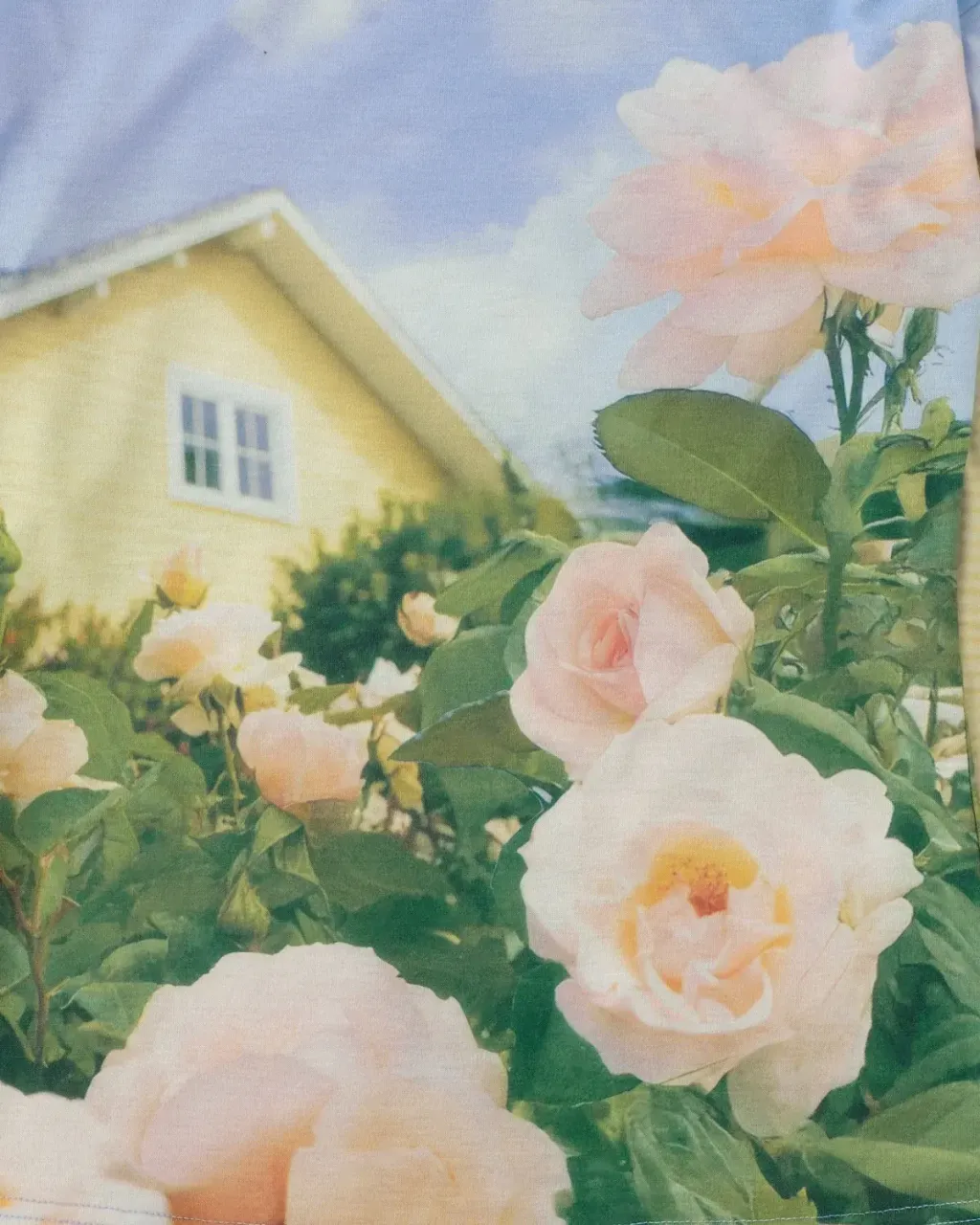 image_E8D80A4D-4405-40A4-825D-A89789FF473B_1772198699