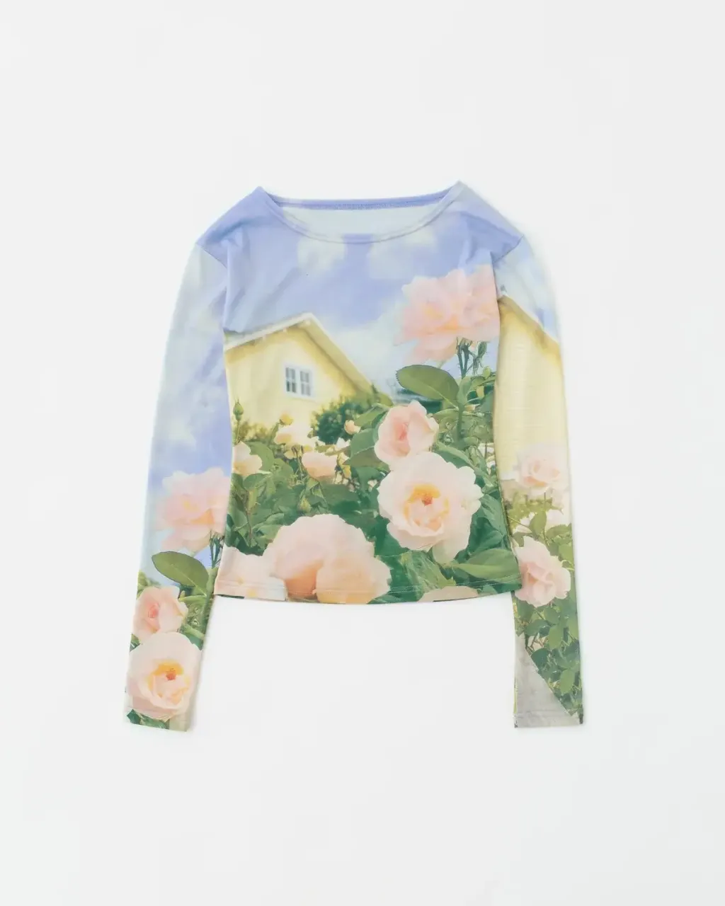 image_503E4659-1685-447F-8FEA-F52626DF47B0_1772198699