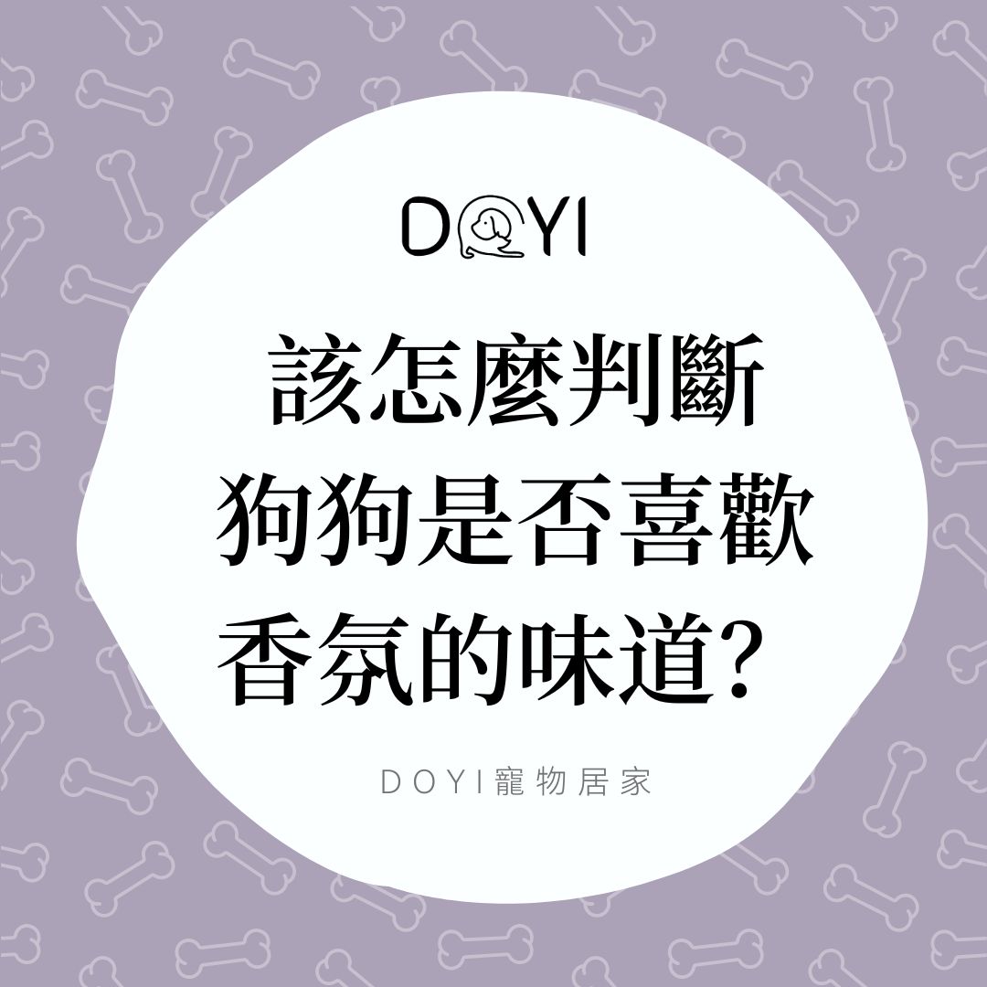 該怎麼判斷 狗狗是否喜歡 香氛的味道？