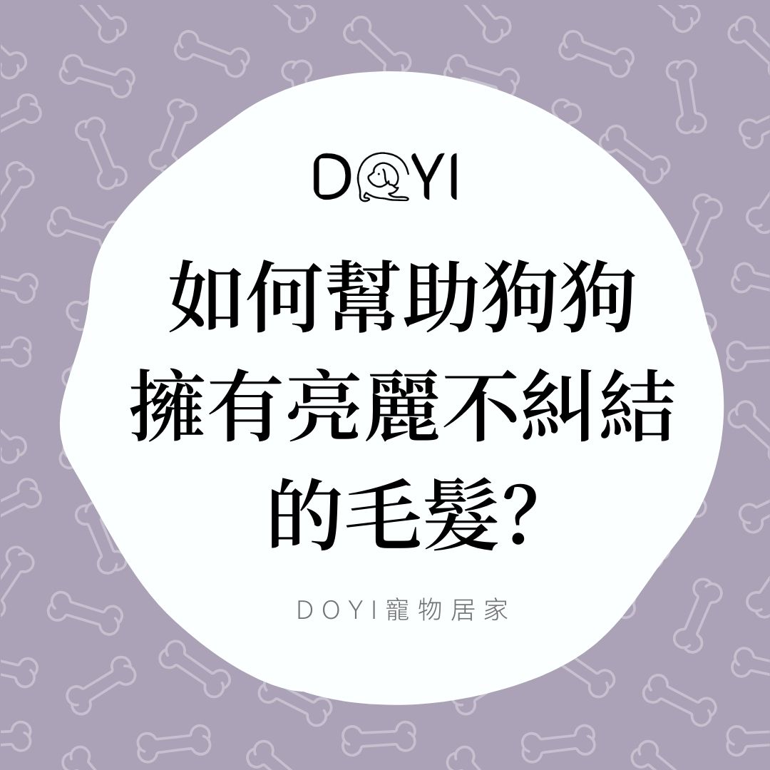 如何幫助狗狗 擁有亮麗不糾結的毛髮？