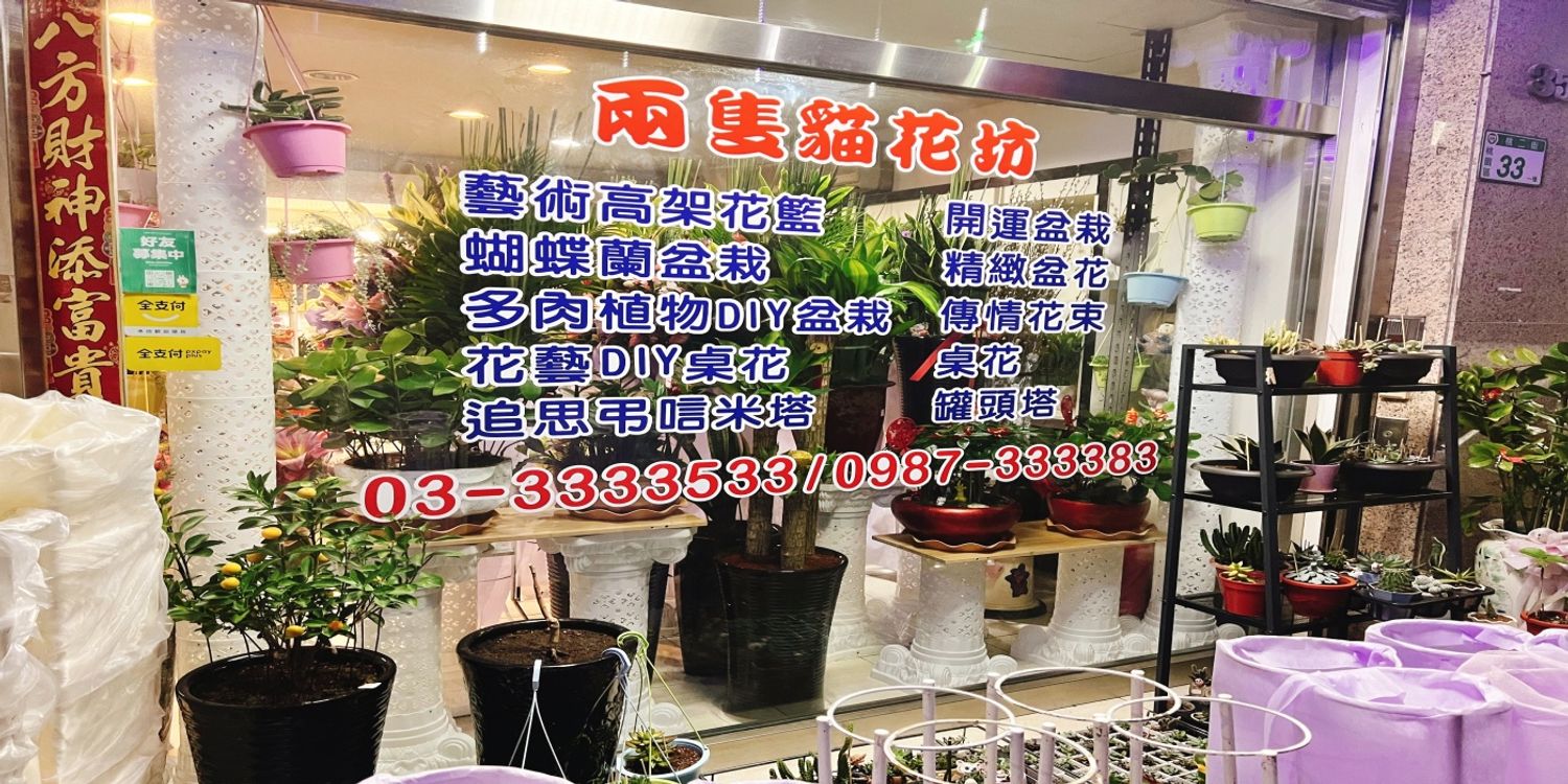 金錢樹盆栽