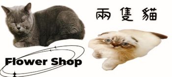 兩隻貓花坊
