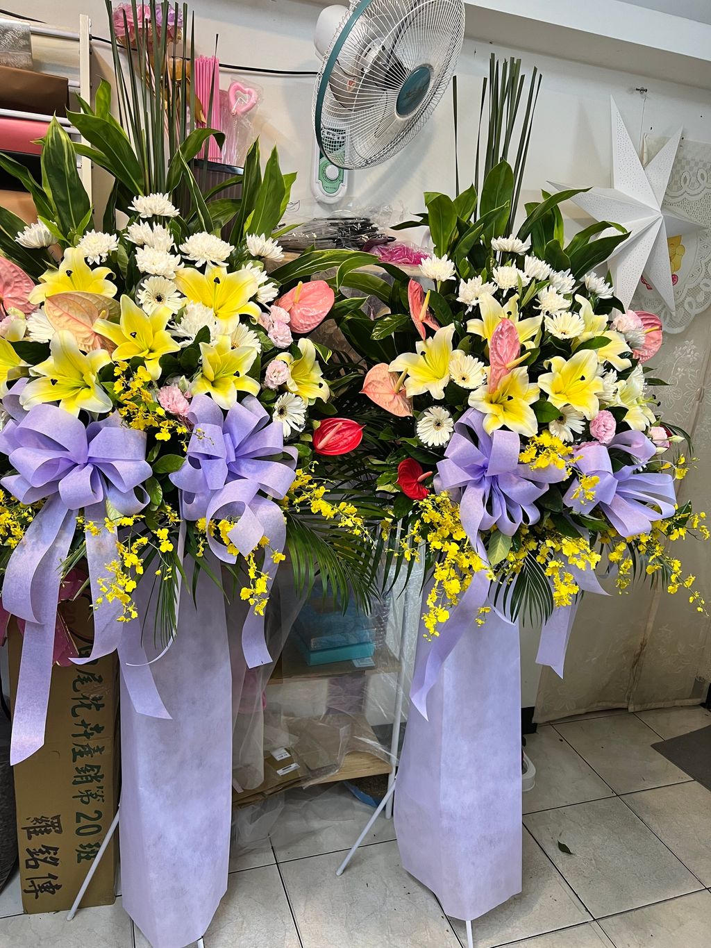 IMG_8536-1719942136821