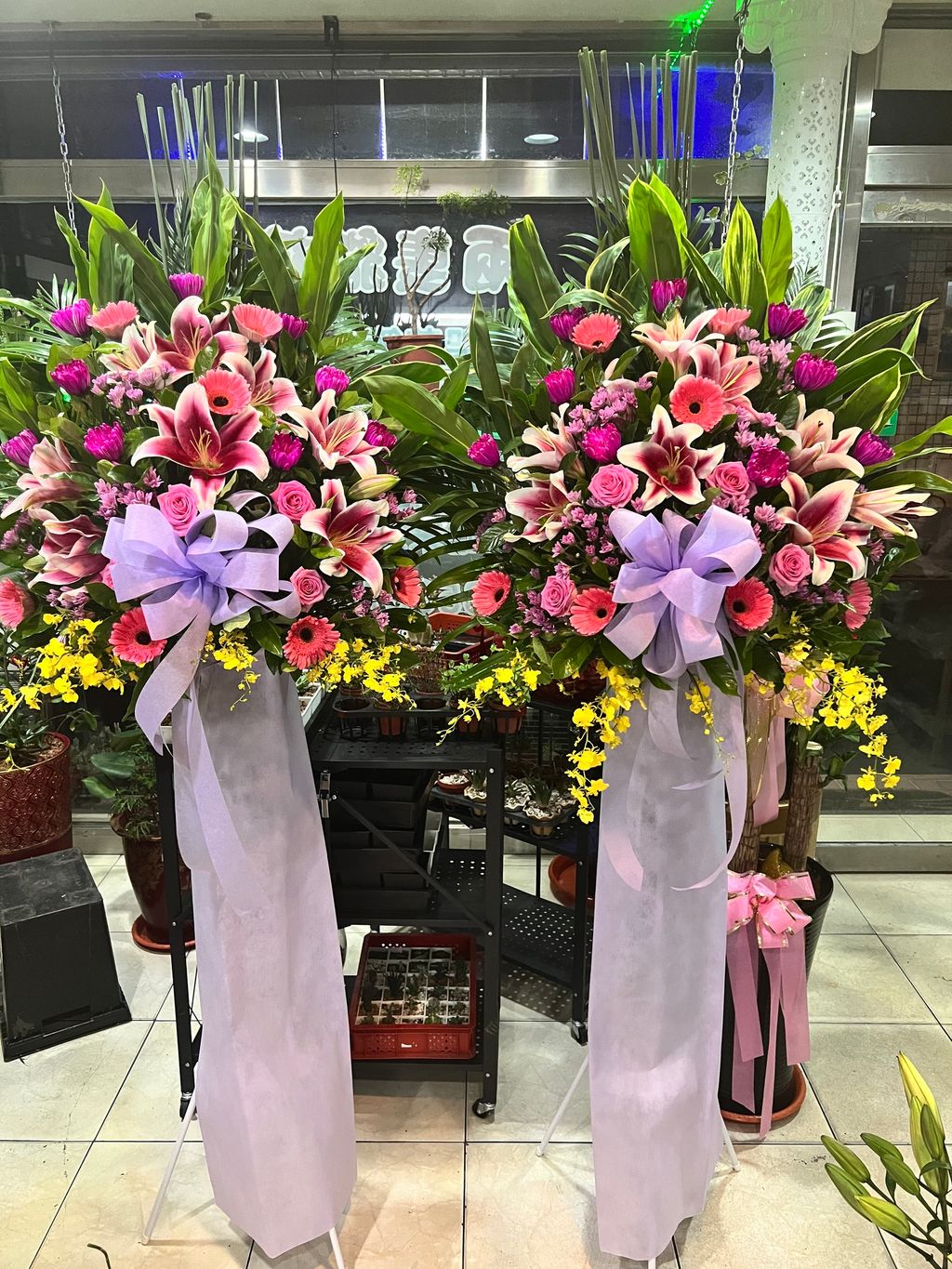 IMG_8539-1719942303447