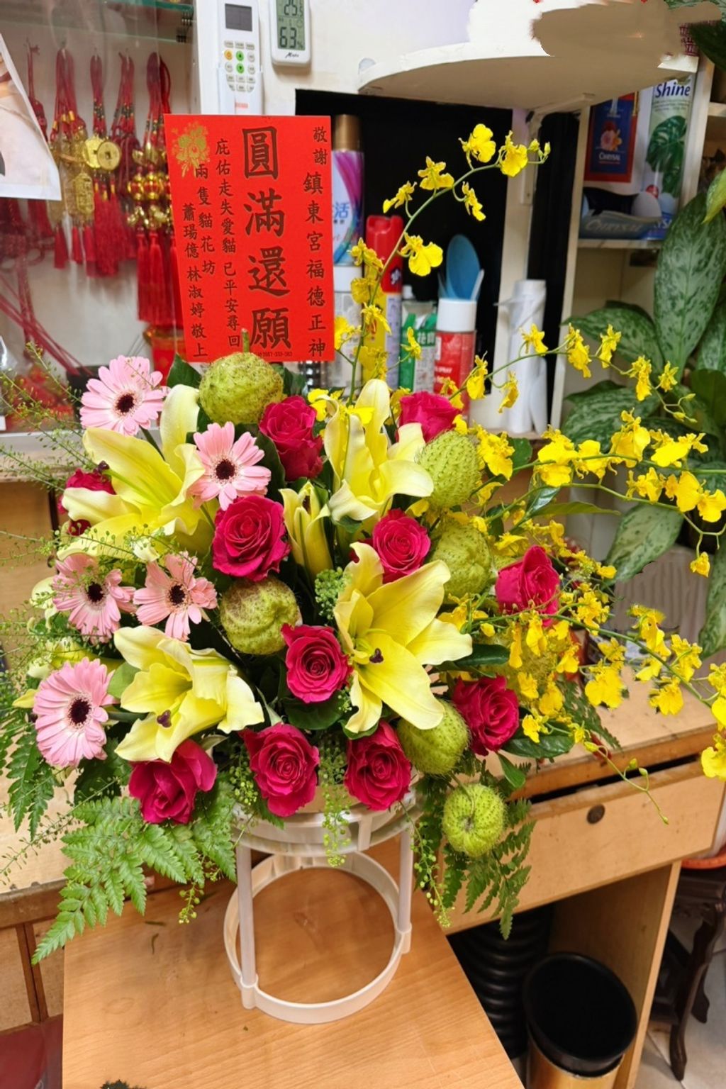 S__119037958_0_副本