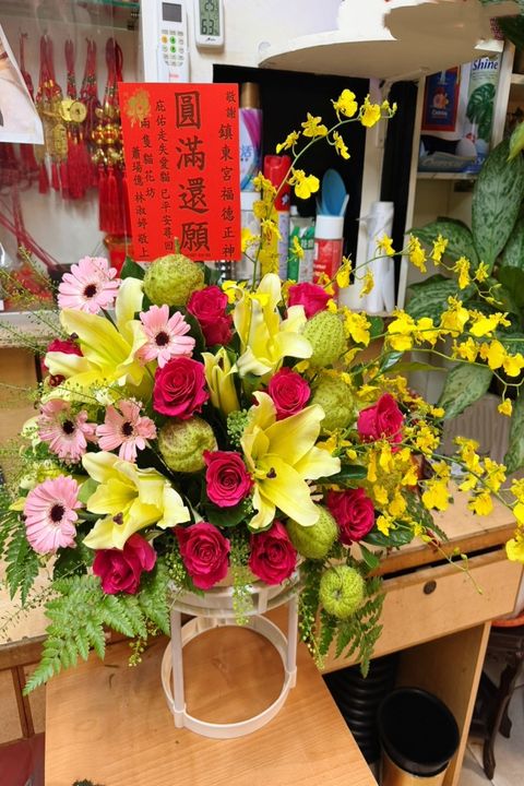 S__119037958_0_副本