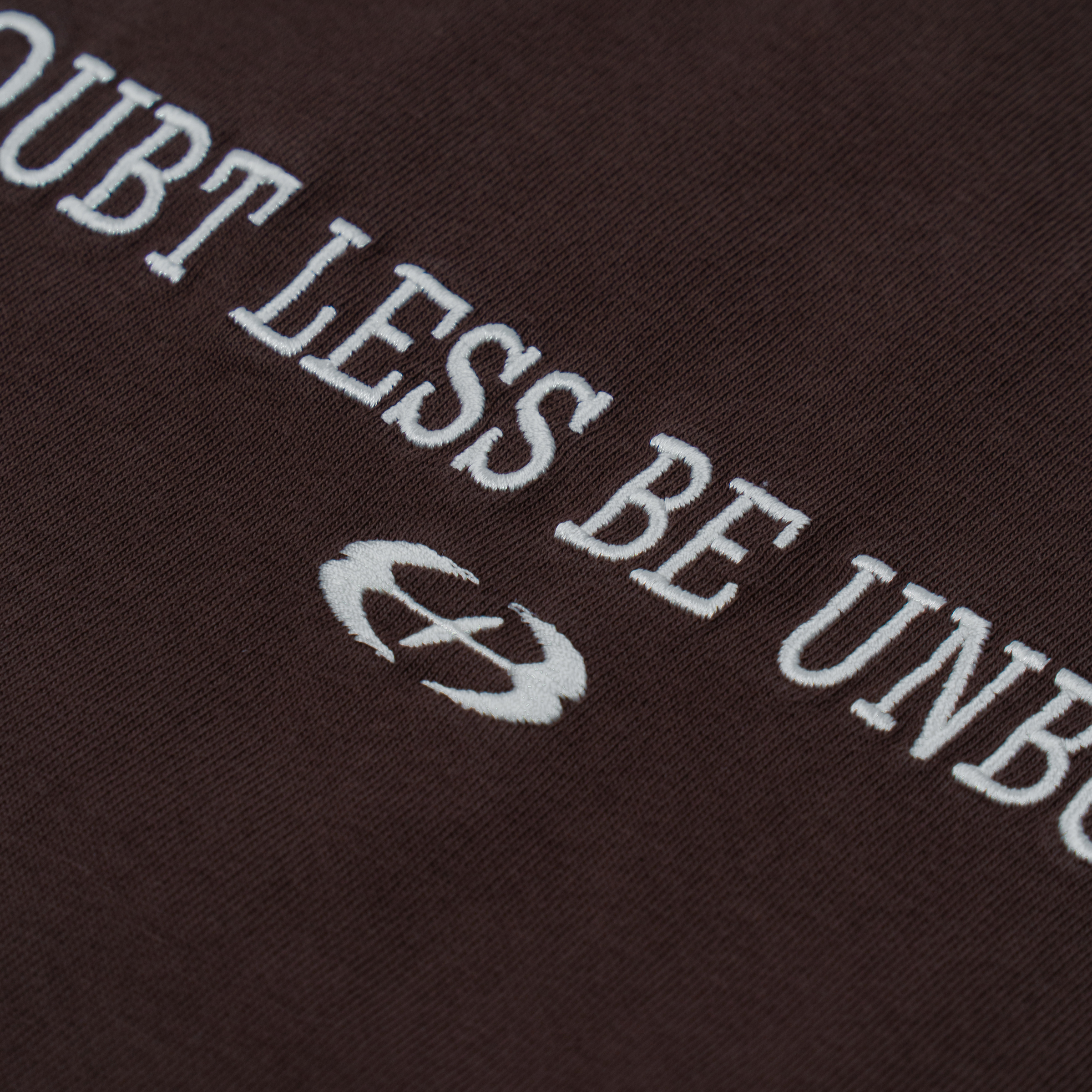 No Doubt Washed Tee (Brown)_CloseUp_4