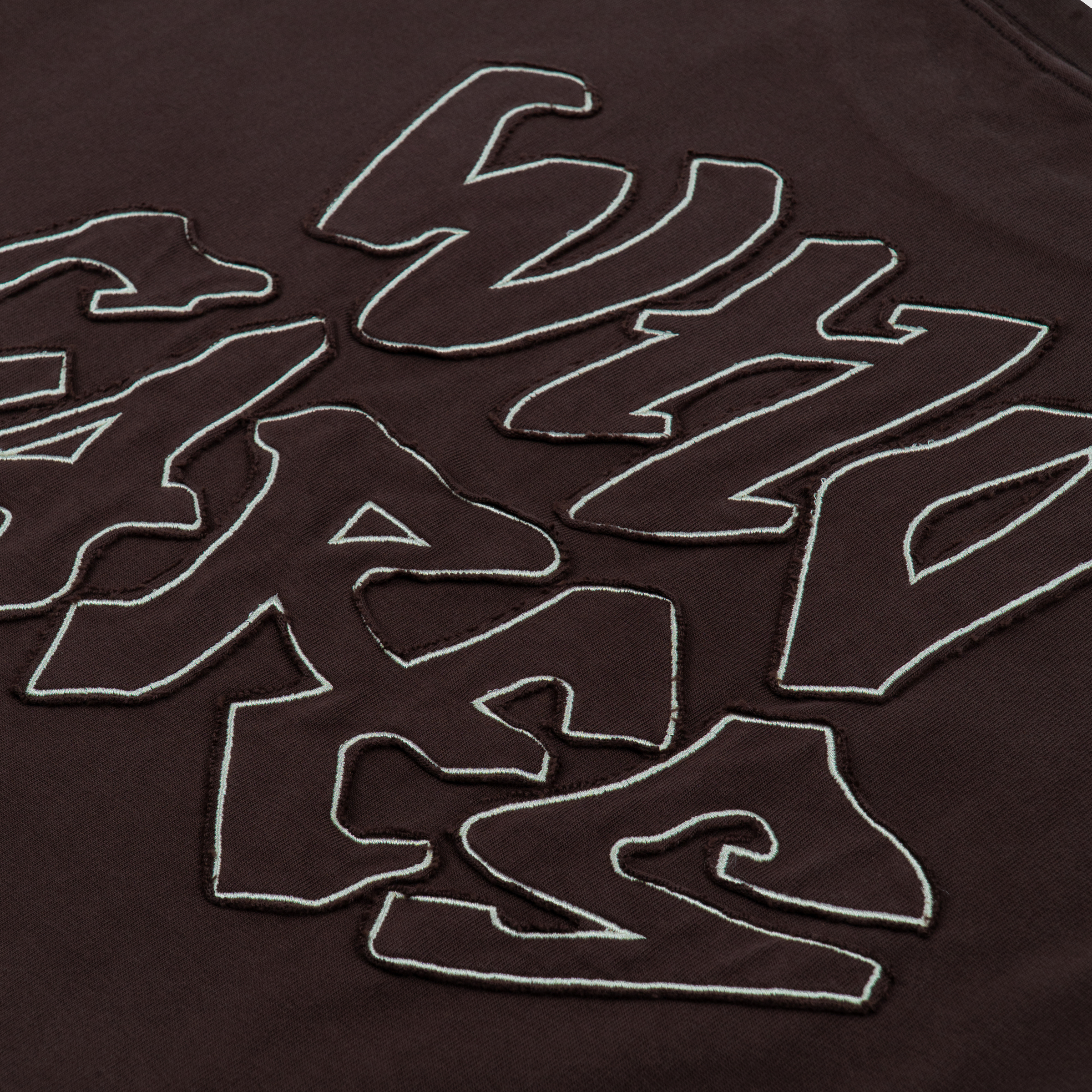 No Doubt Washed Tee (Brown)_CloseUp_1