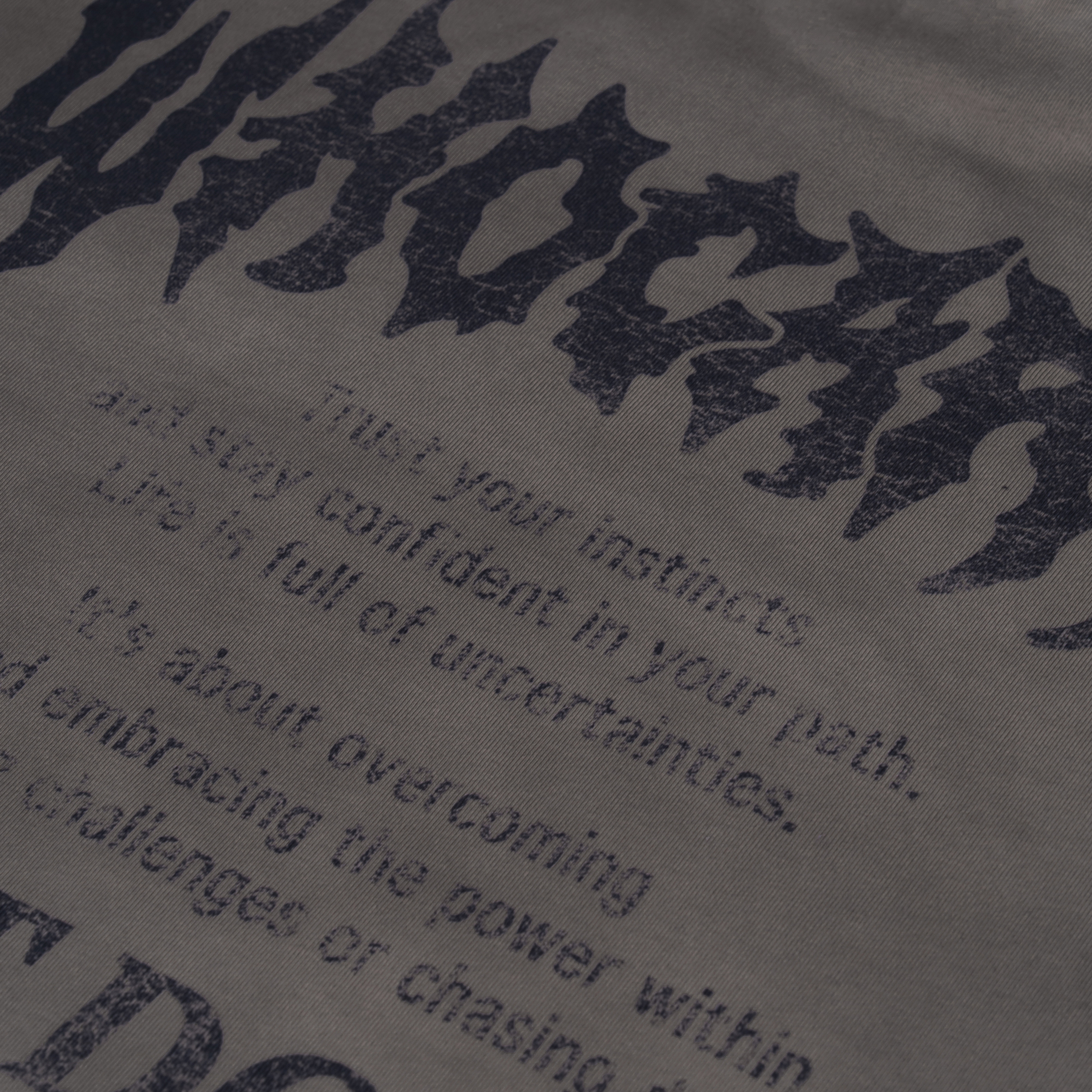 No Fear Quote Tee (Brown)_CloseUp_1