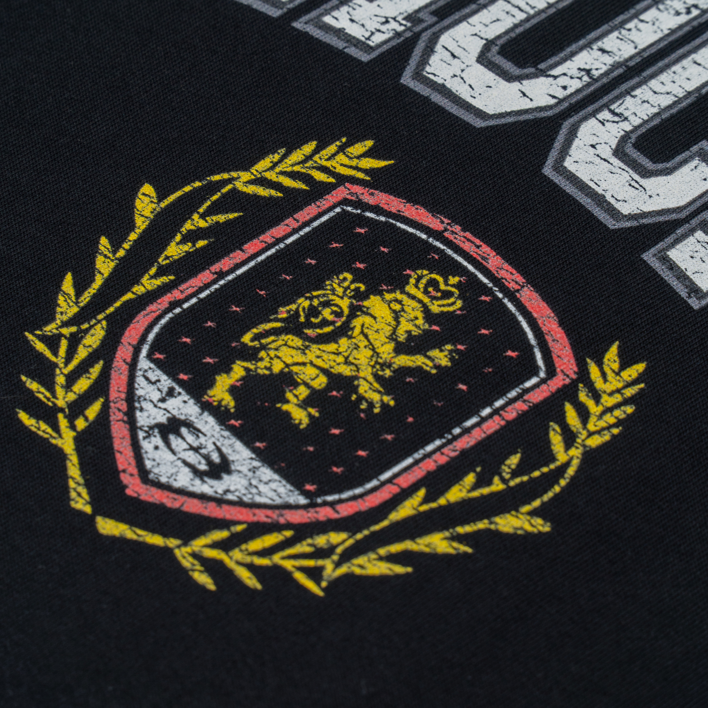 DD Varsity Tee (Black)_CloseUp_3