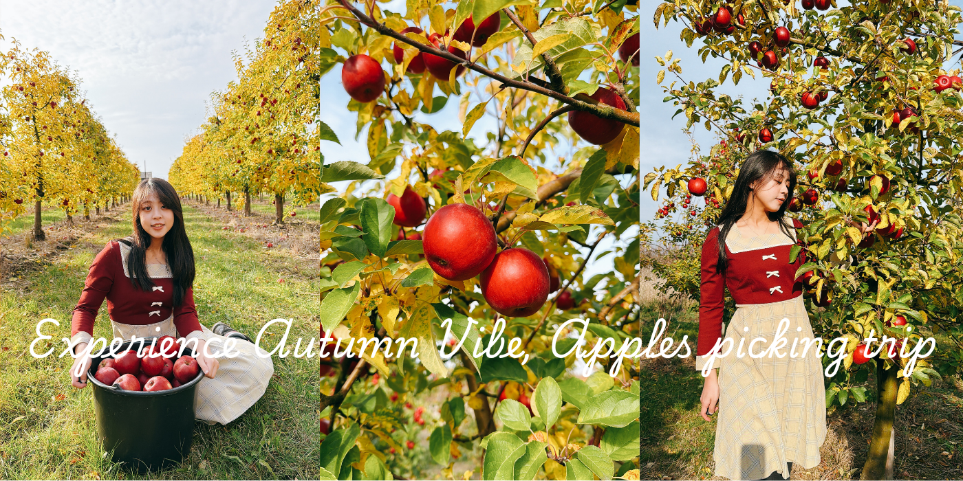 華沙秋天旅遊｜波蘭自採蘋果體驗攻略！從市區搭火車一小時就能到的夢幻果園