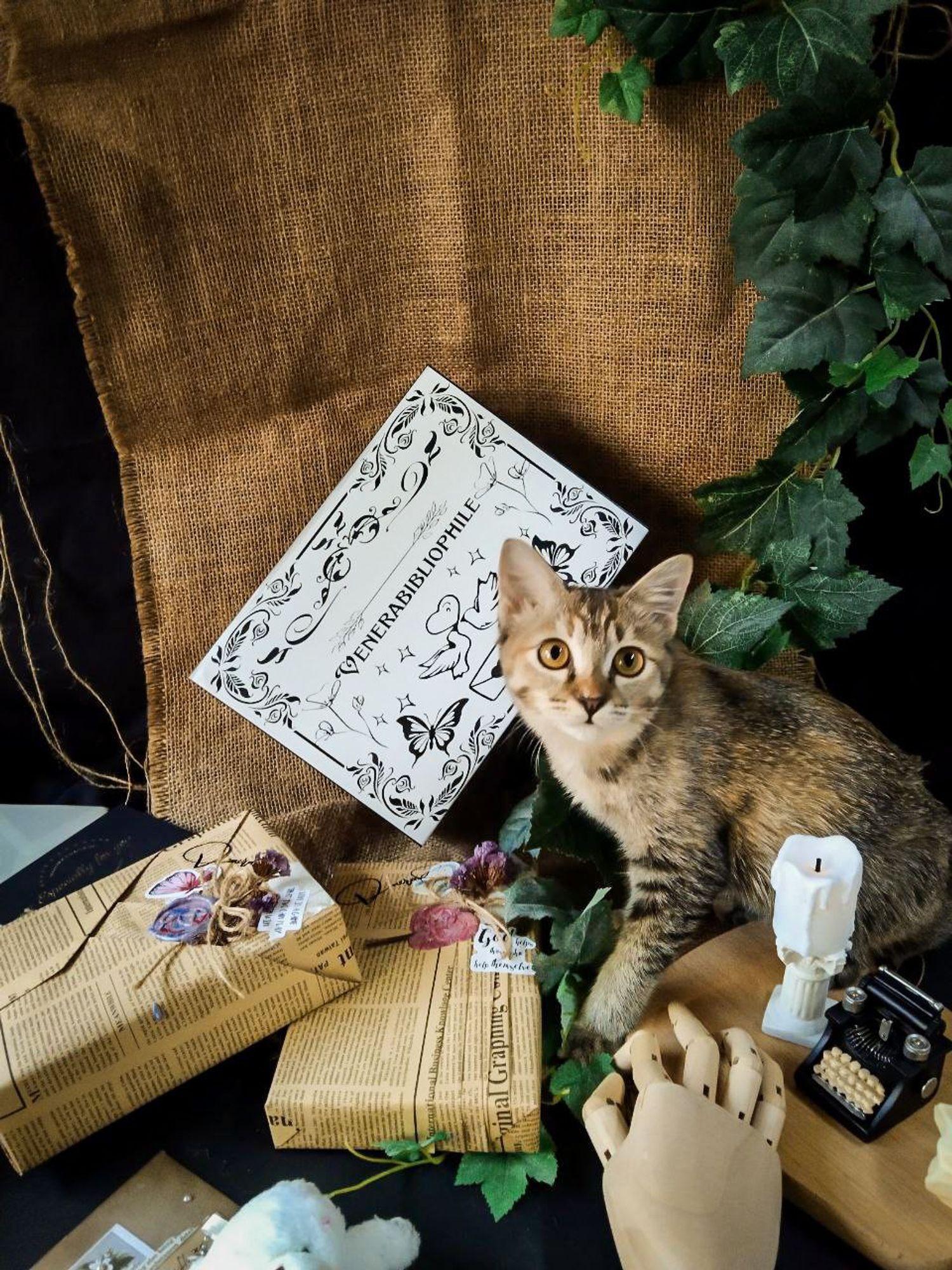 https://cdn.store-assets.com/s/1333250/f/14067809.jpg
