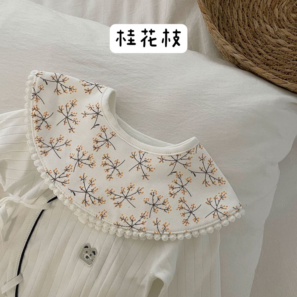 IMG_9928-1730023366514