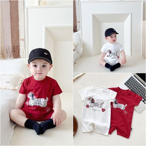 image_09769BFE-CC65-4AFD-BEA0-954C36D82773_1750693780