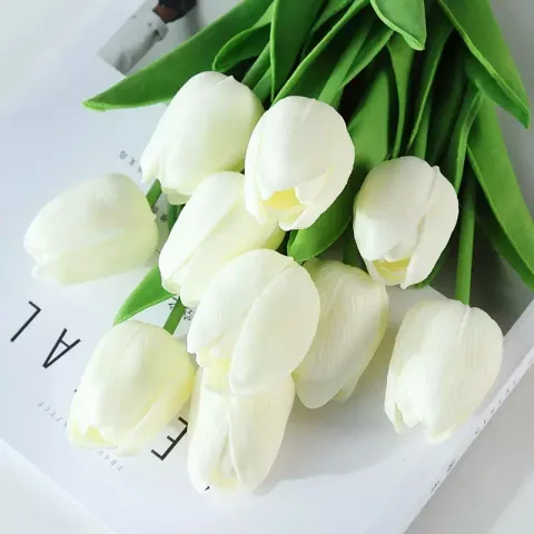 d0bd082aa98373d729c29a34f4e0fdbf