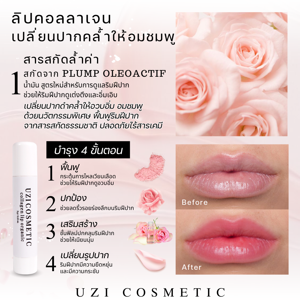 lip c1.1