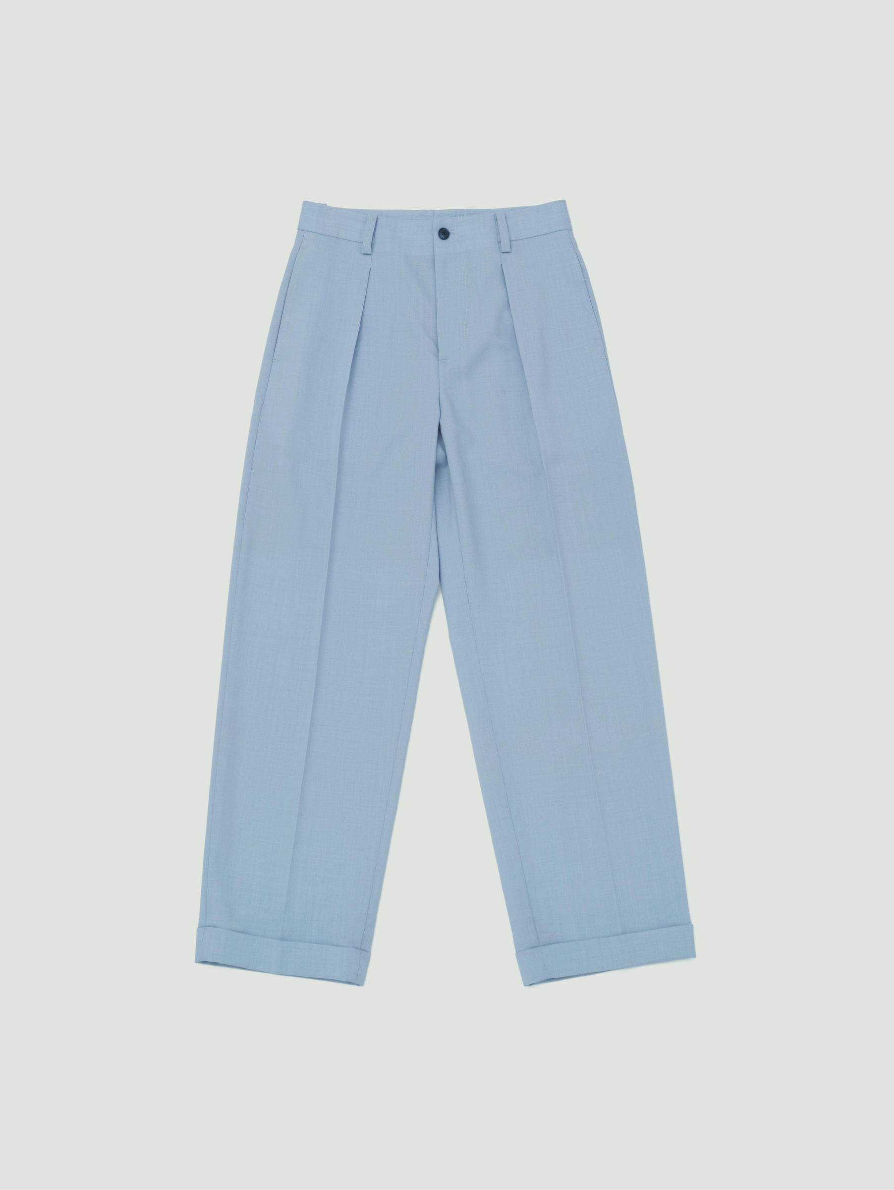 Pleated Trousers