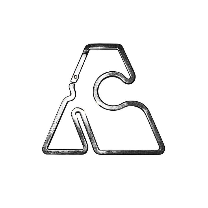 biglogocarabiner