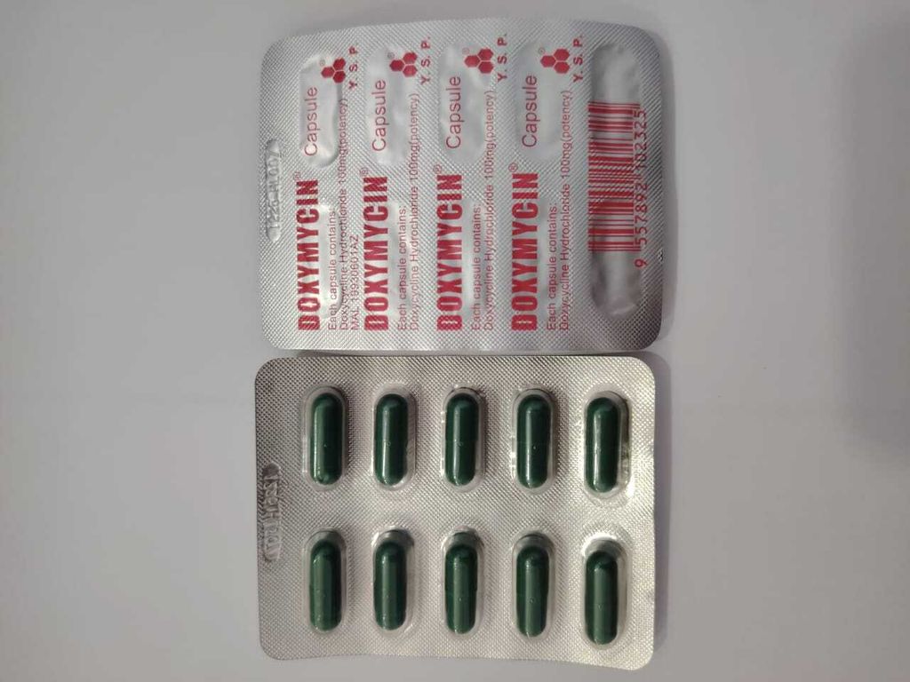 WhatsApp Image 2025-11-03 at 15.54.12_fec5dfac