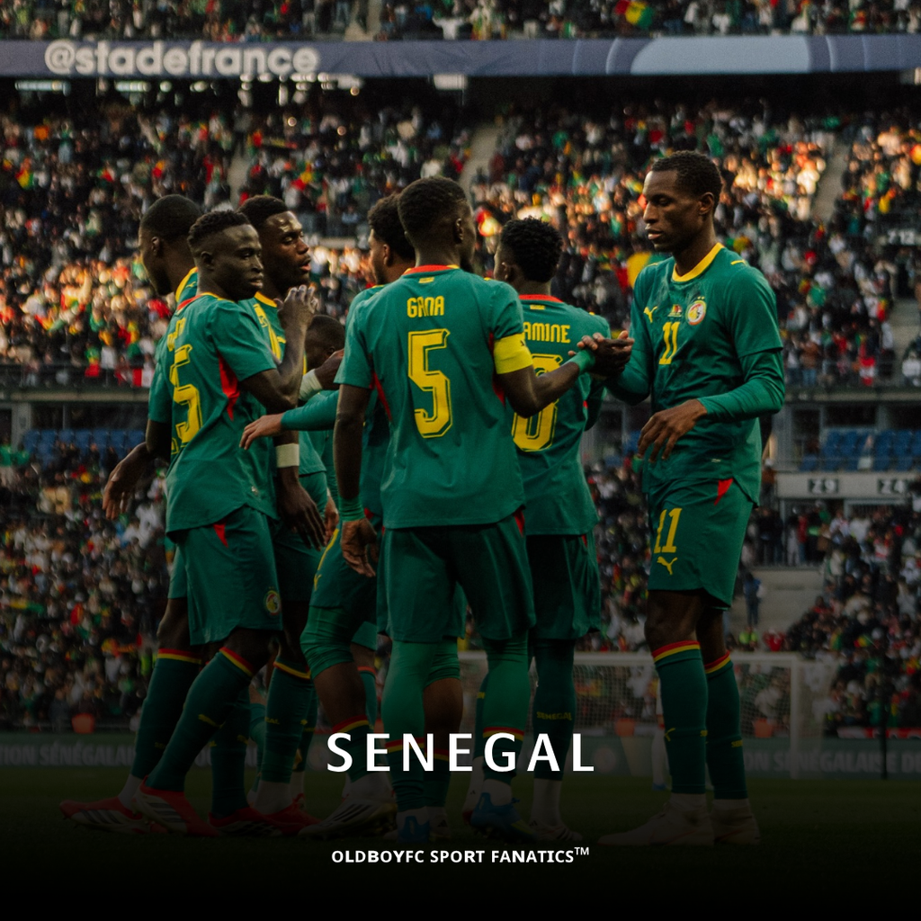 【球迷版】塞內加爾 2026 世界盃客場球迷版 足球球衣