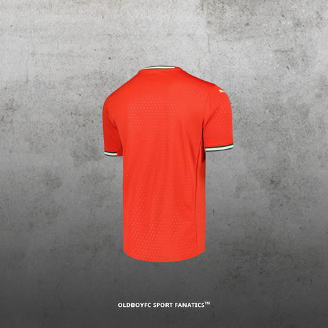 葡萄牙 2025 歐國聯主場 球衣 反面圖