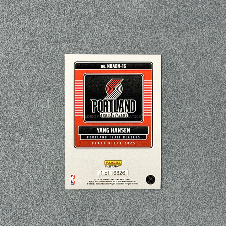 楊瀚森 Panini Instant 卡片背面資訊