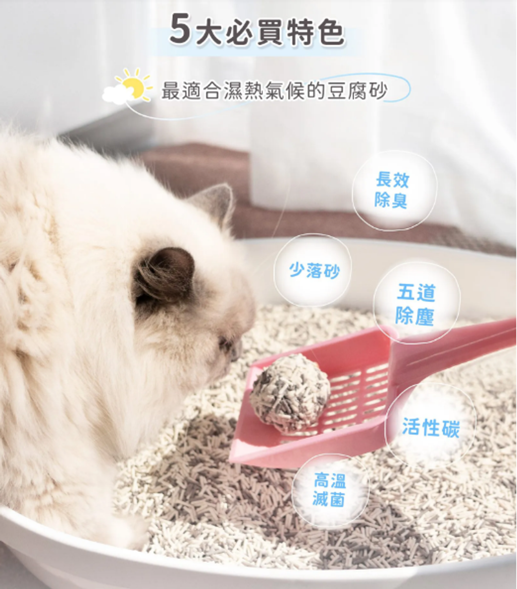 5大必買特色