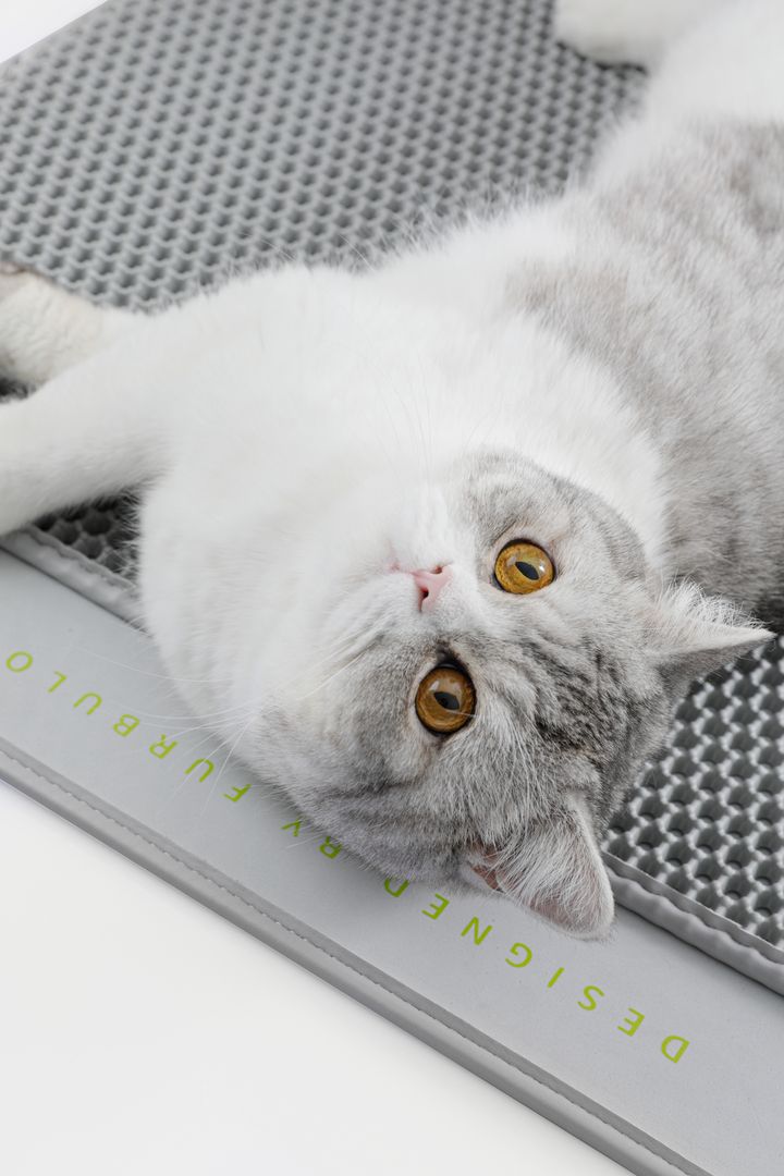 Cat Litter Mat 6