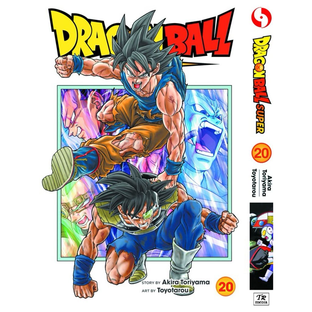 20