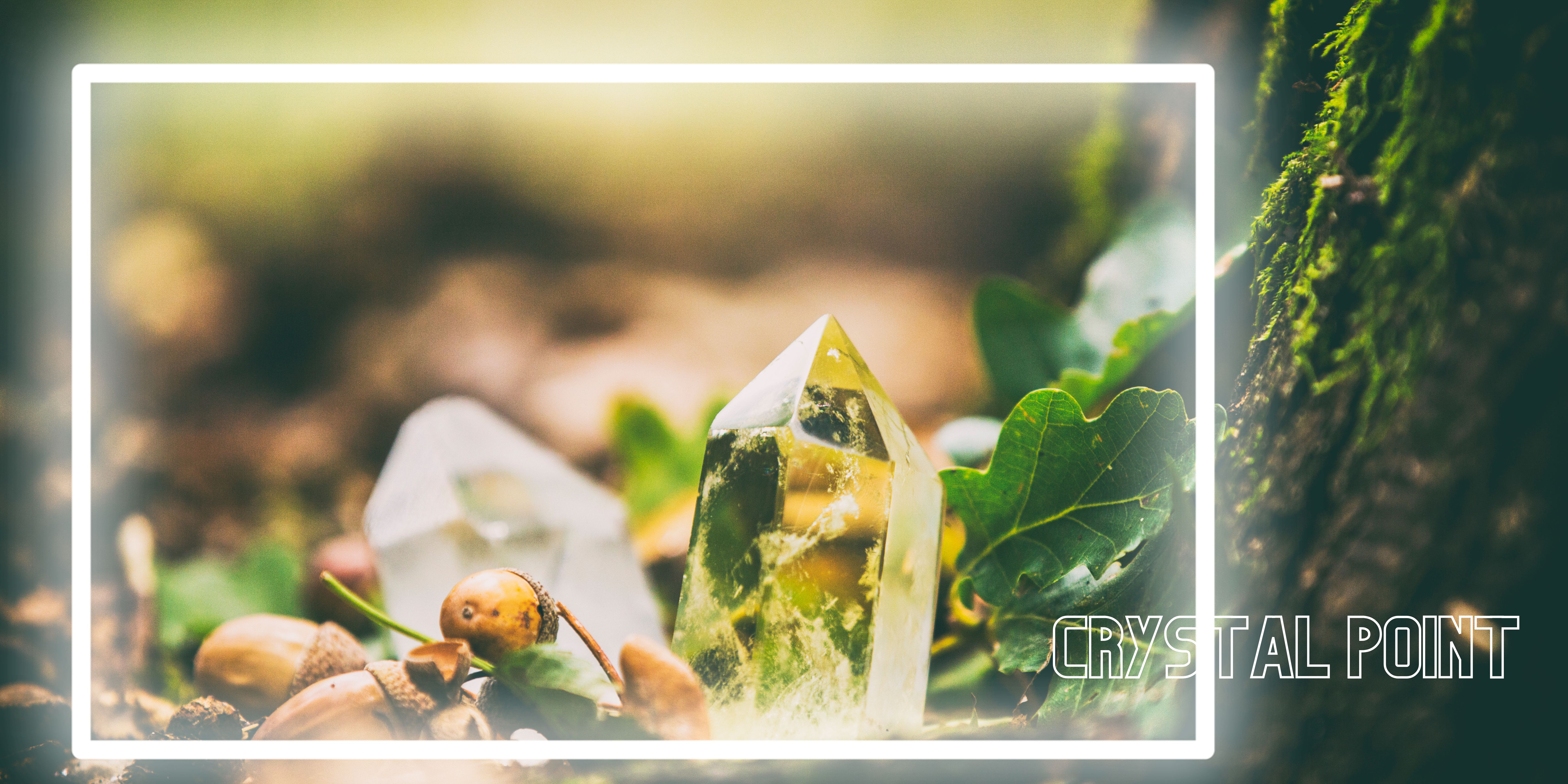 white & green modern earth day Banner Landscape 拷貝