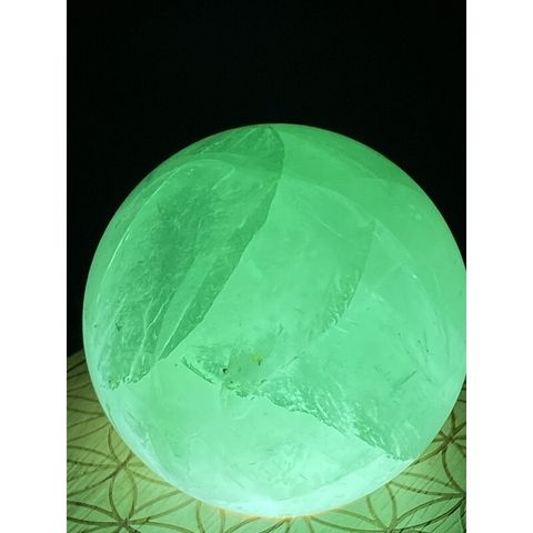 01f3298c8b3be646b077a3a093e6be3d