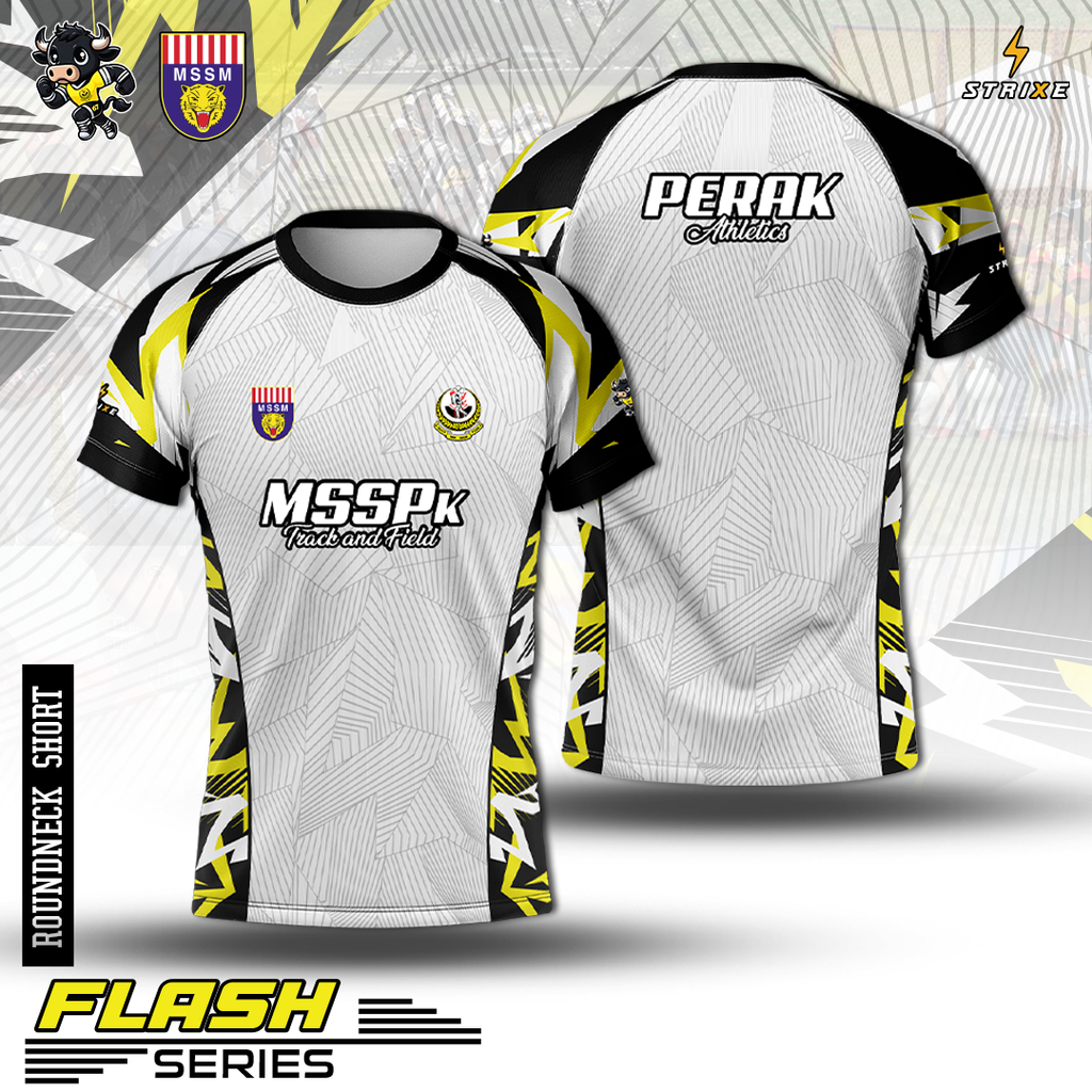 3FLASH - MSSPk MAIN