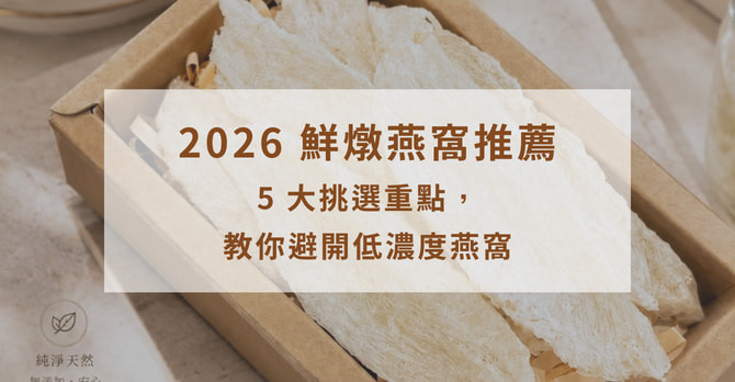 2026 鮮燉燕窩推薦｜5 大挑選重點，教你避開低濃度燕窩