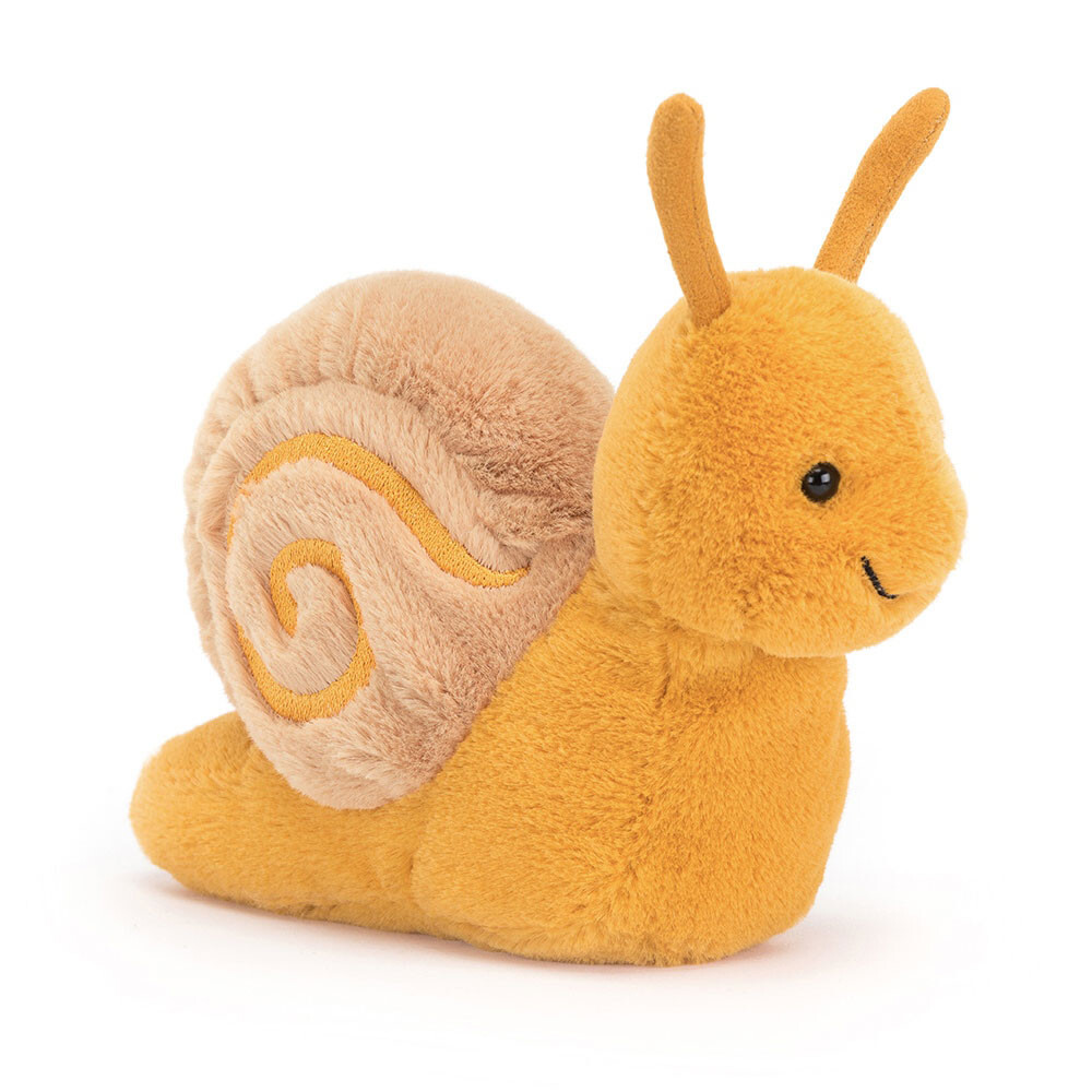 Sandy Snail 1
