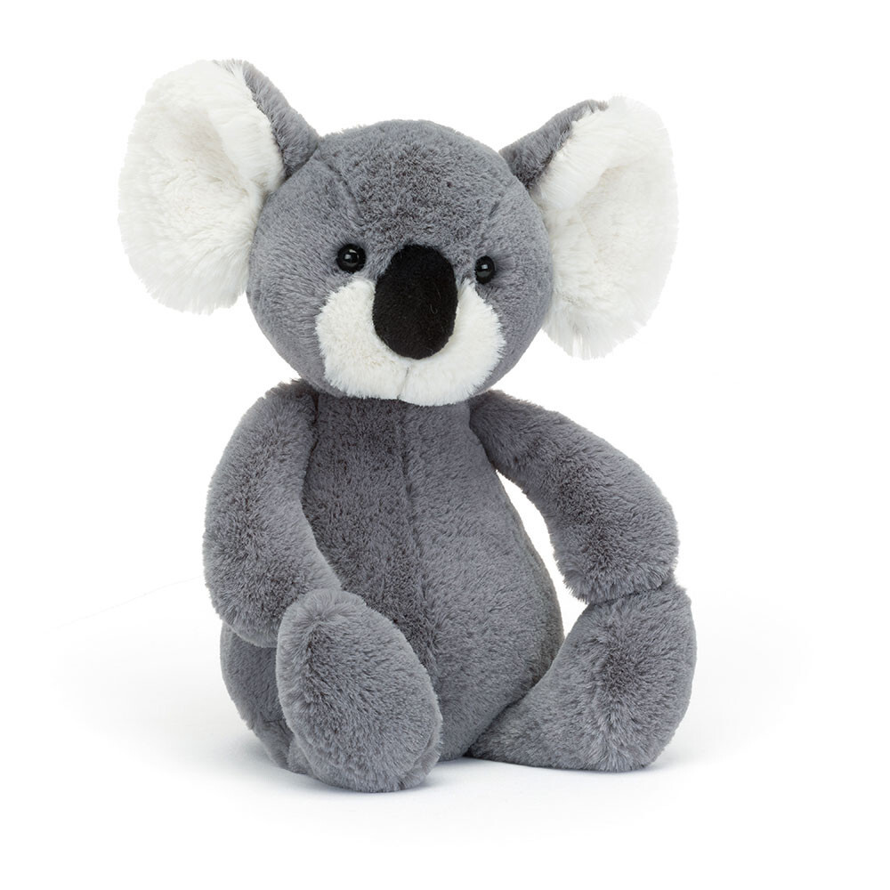 Bashful Koala 1