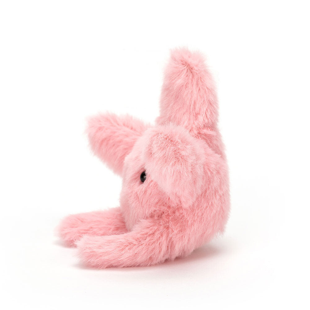 Fluffy Starfish 2