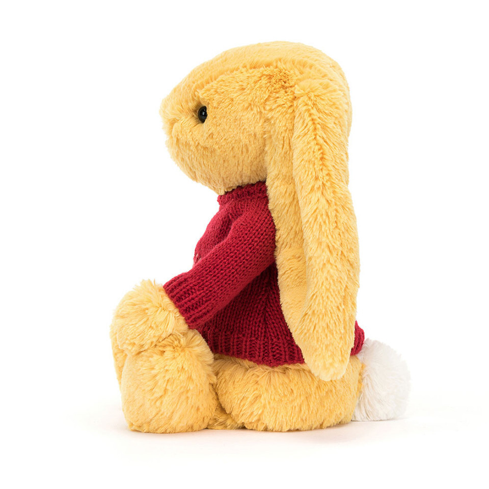 Bashful Sunshine Bunny With Personalised Red Jumper 2