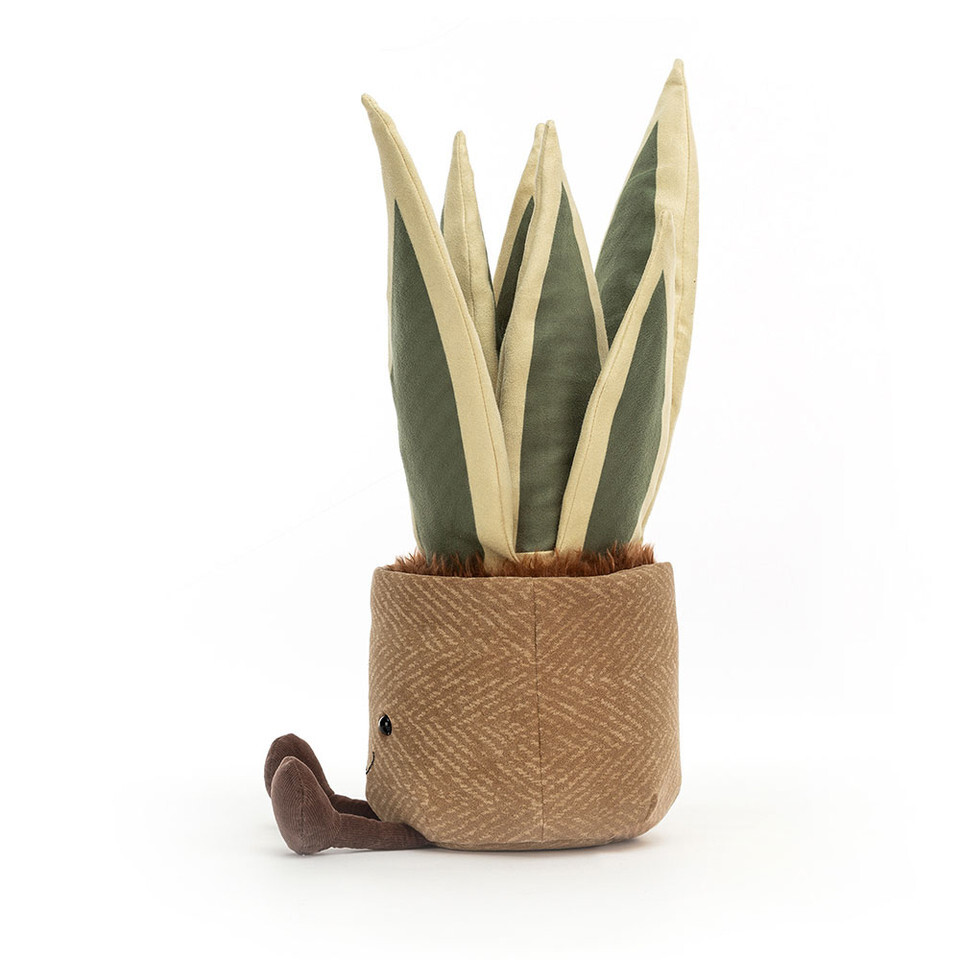 Amuseables Snake Plant 2