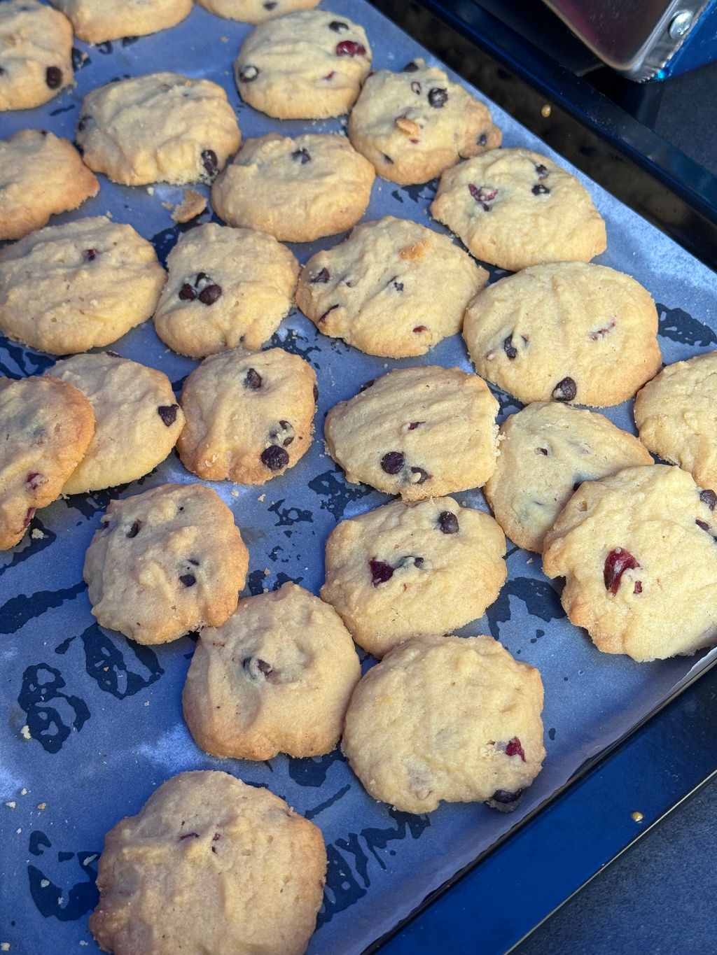 IMG_4713-1701799040901