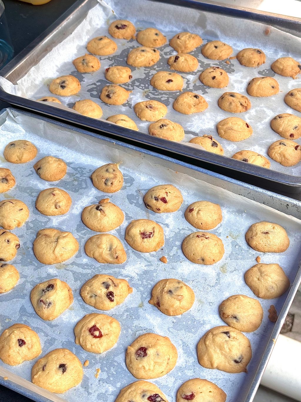 IMG_4718-1701799041962