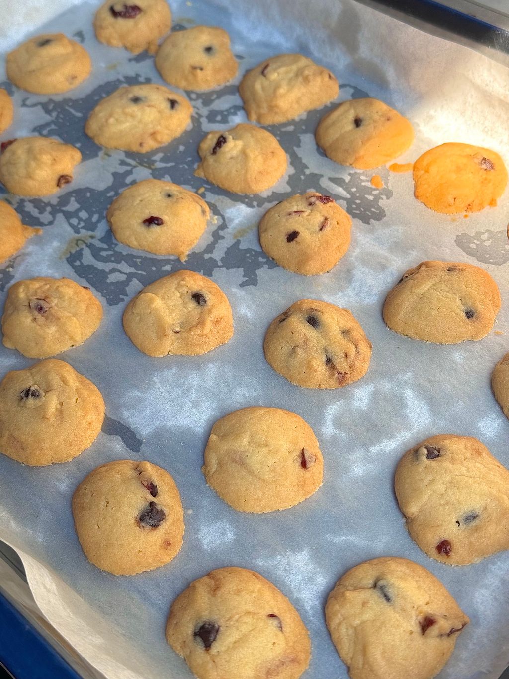 IMG_4710-1701799043047