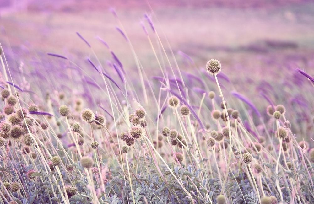 學員真實分享:當女人陰性能量從身體中流出