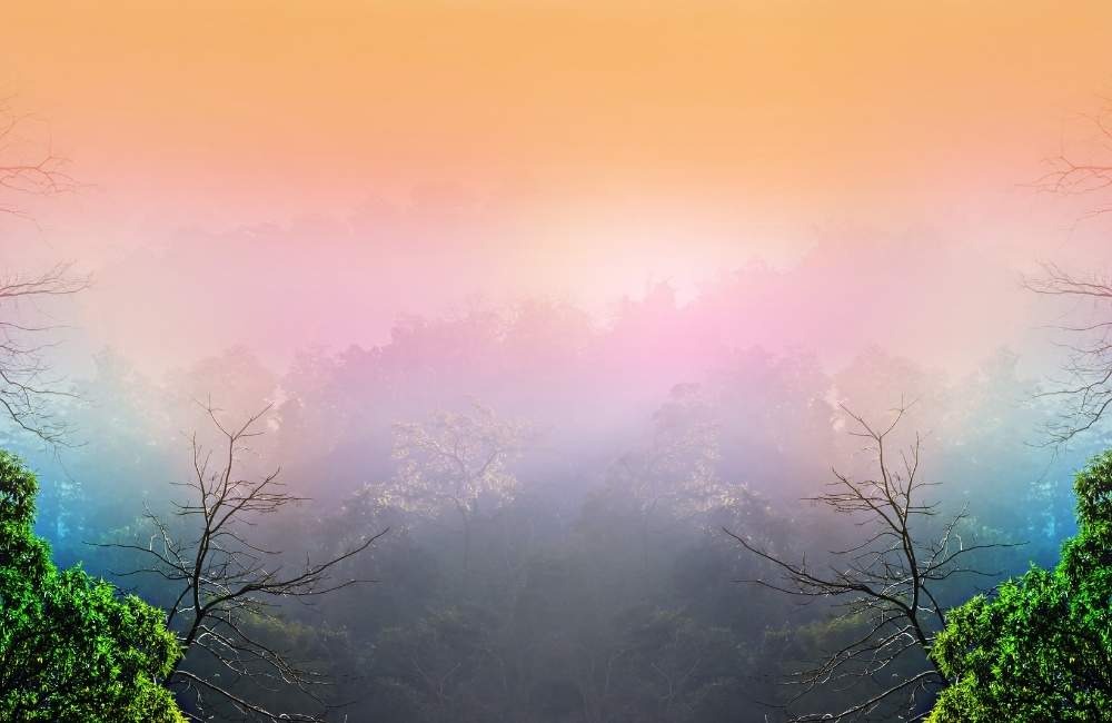 沒有或擁有譚崔通道，都不是重點