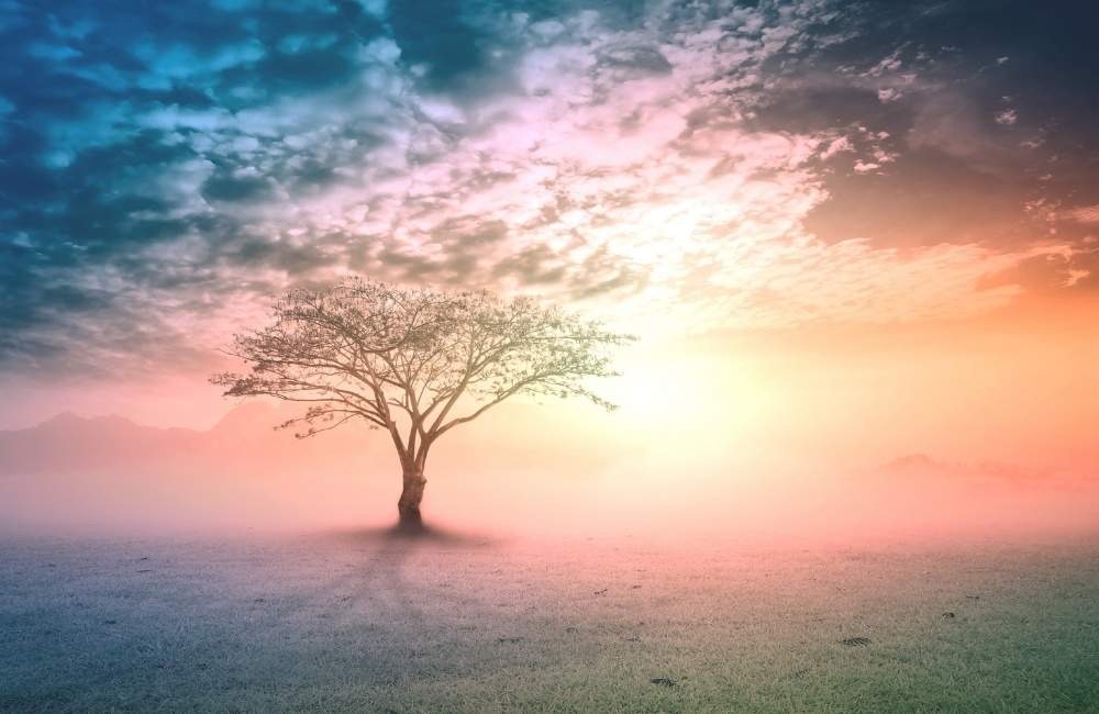 與譚崔修行共振的生命路徑：四條通道的靈性意涵