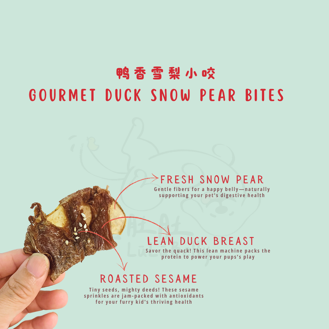 LuLuBelly D3 - Gourmet Duck Snow Pear Bites (鸭香雪梨小咬）- 02