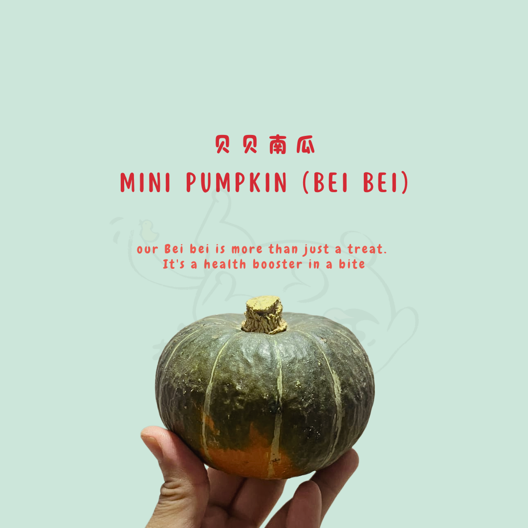 LuLuBelly C2 - Bebe Pumpkin Chicken Bites (贝贝南瓜鸡小咬） - 02