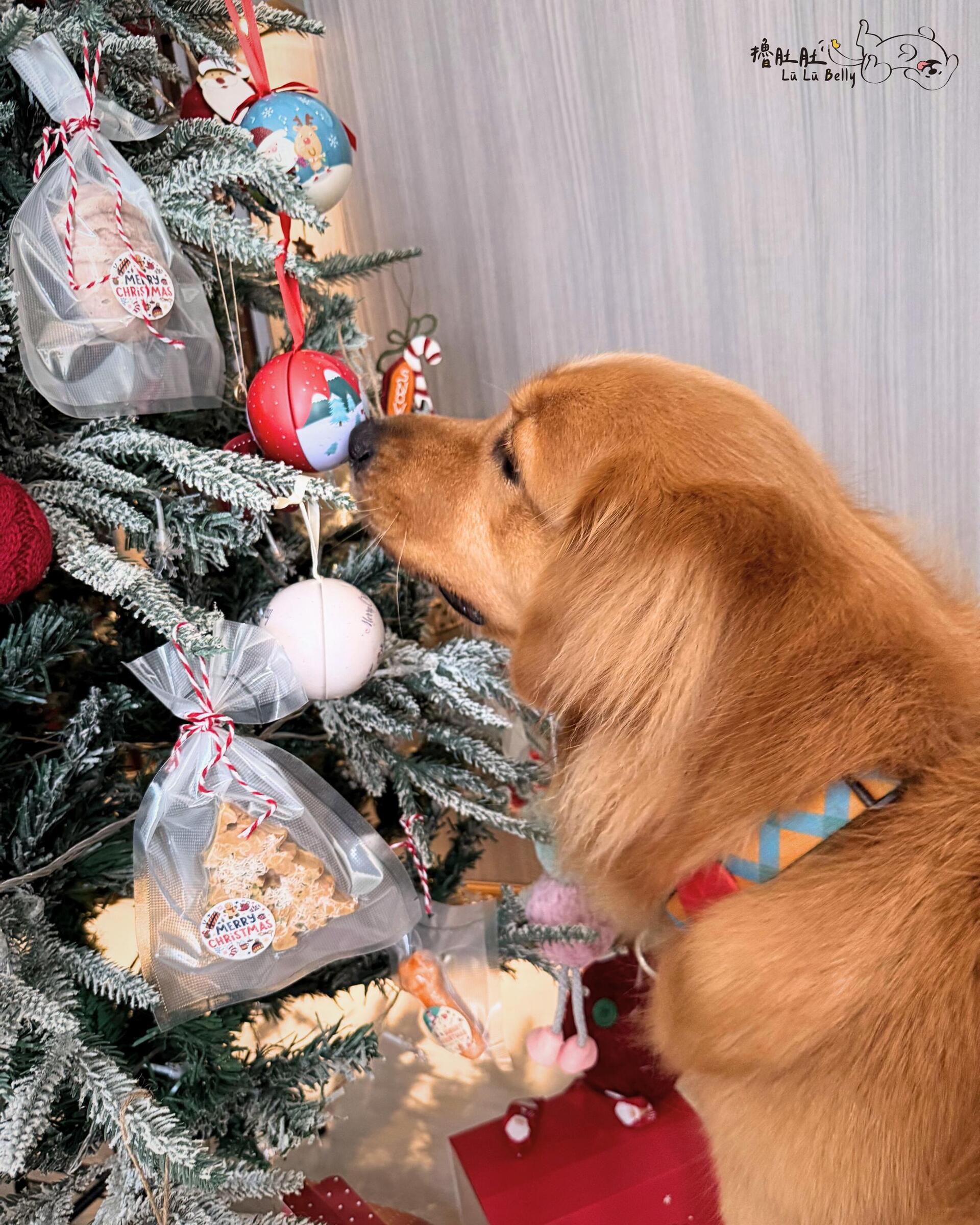 WhatsApp Image 2025-12-01 at 20.24.00 (3)