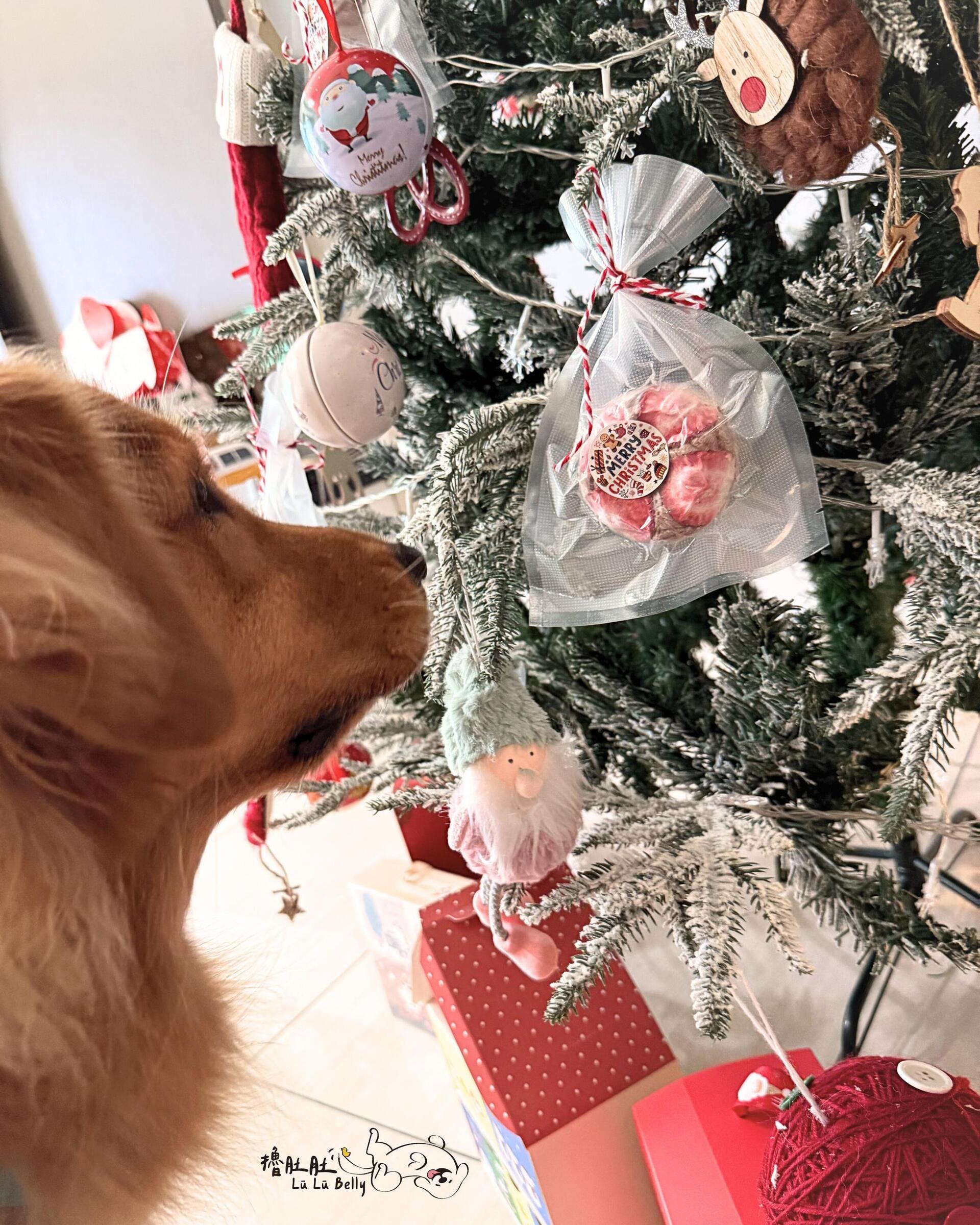 WhatsApp Image 2025-12-01 at 20.24.00 (2)